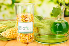 Bridgefoot biofuel availability