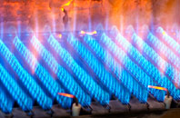 Bridgefoot gas fired boilers